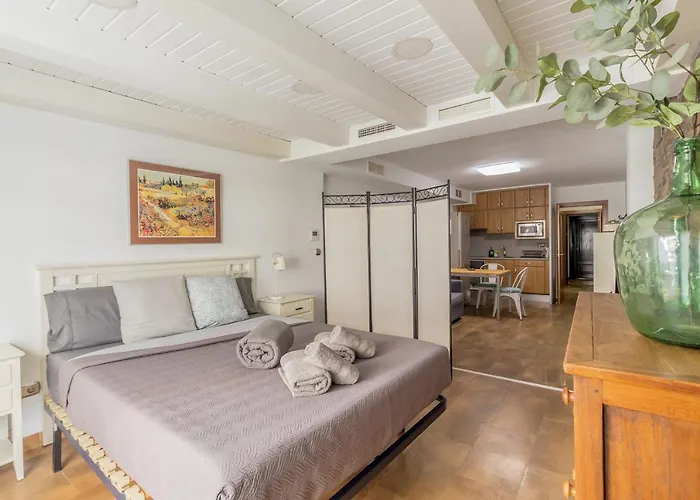 Lejlighed Loft Con Terraza Centro Valencia