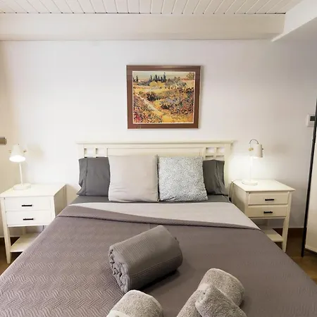 Loft Con Terraza Centro Apartment Valencia