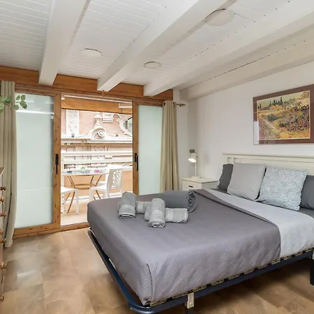 Loft Con Terraza Centro *