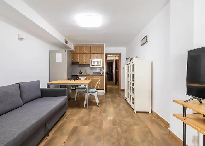 Loft Con Terraza Centro Apartment *