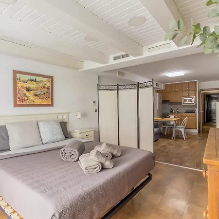 公寓 Loft Con Terraza Centro 瓦伦西亚