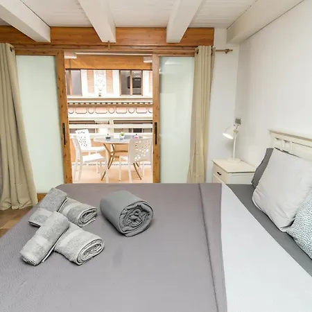 公寓 Loft Con Terraza Centro 瓦伦西亚